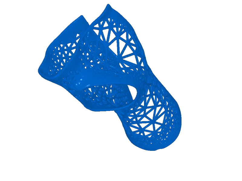 Wrist Splint
