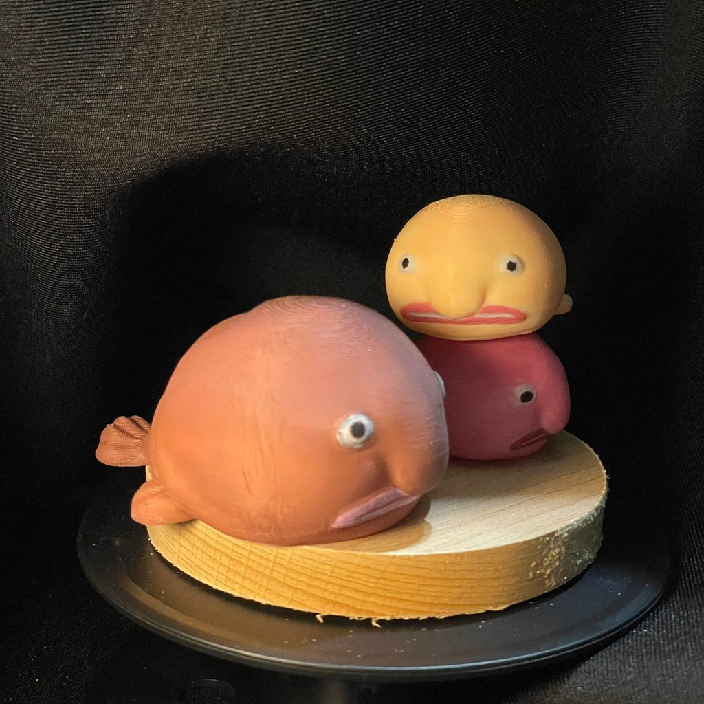 On Blobfish (Commenting Guidelines)