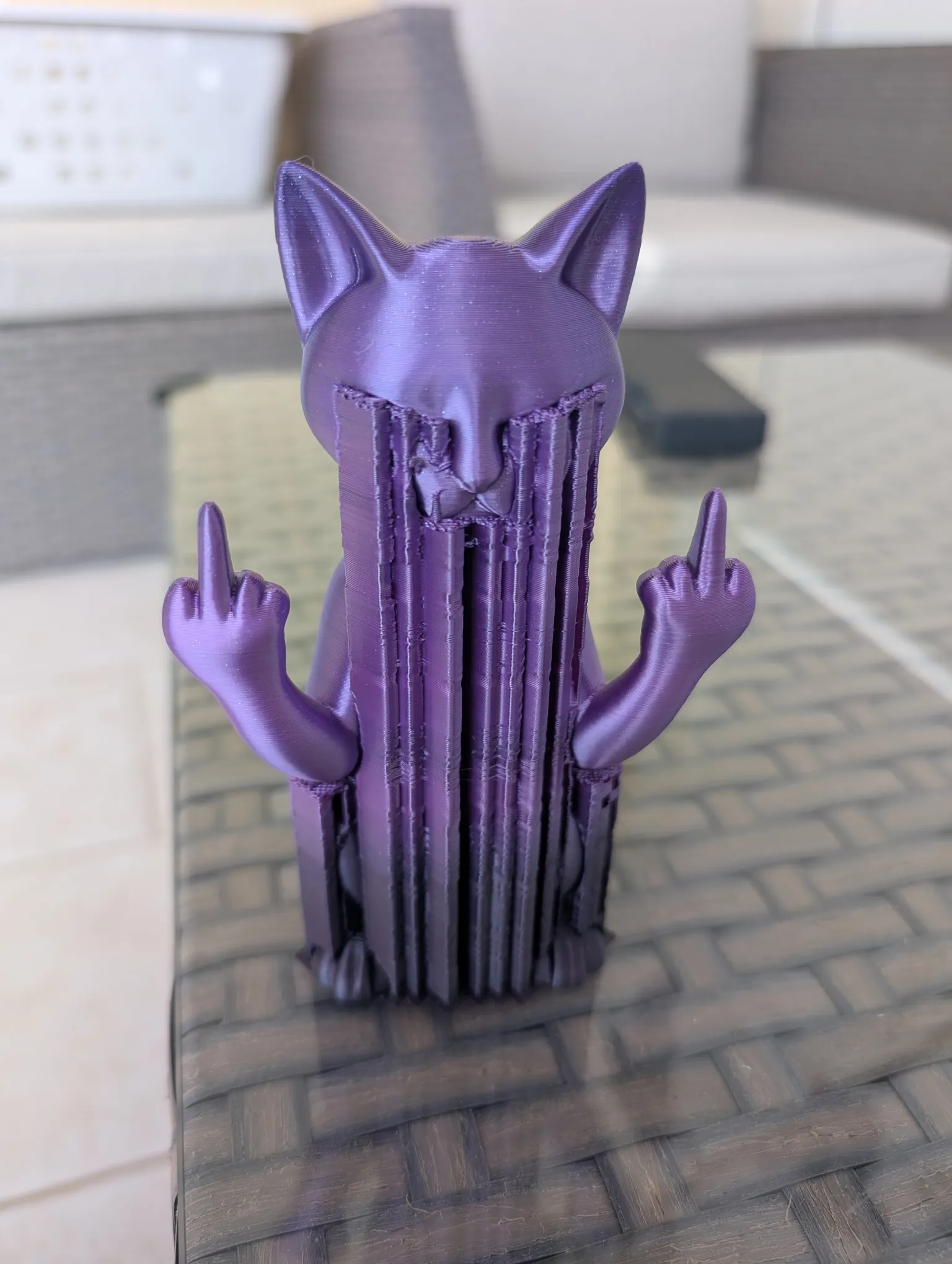 Middle finger cat-0