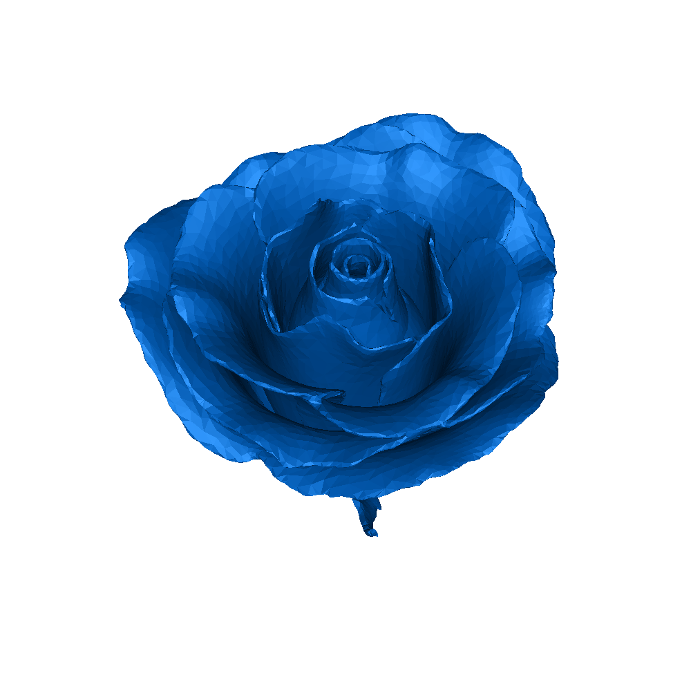 rose | 3D models download | Creality Cloud