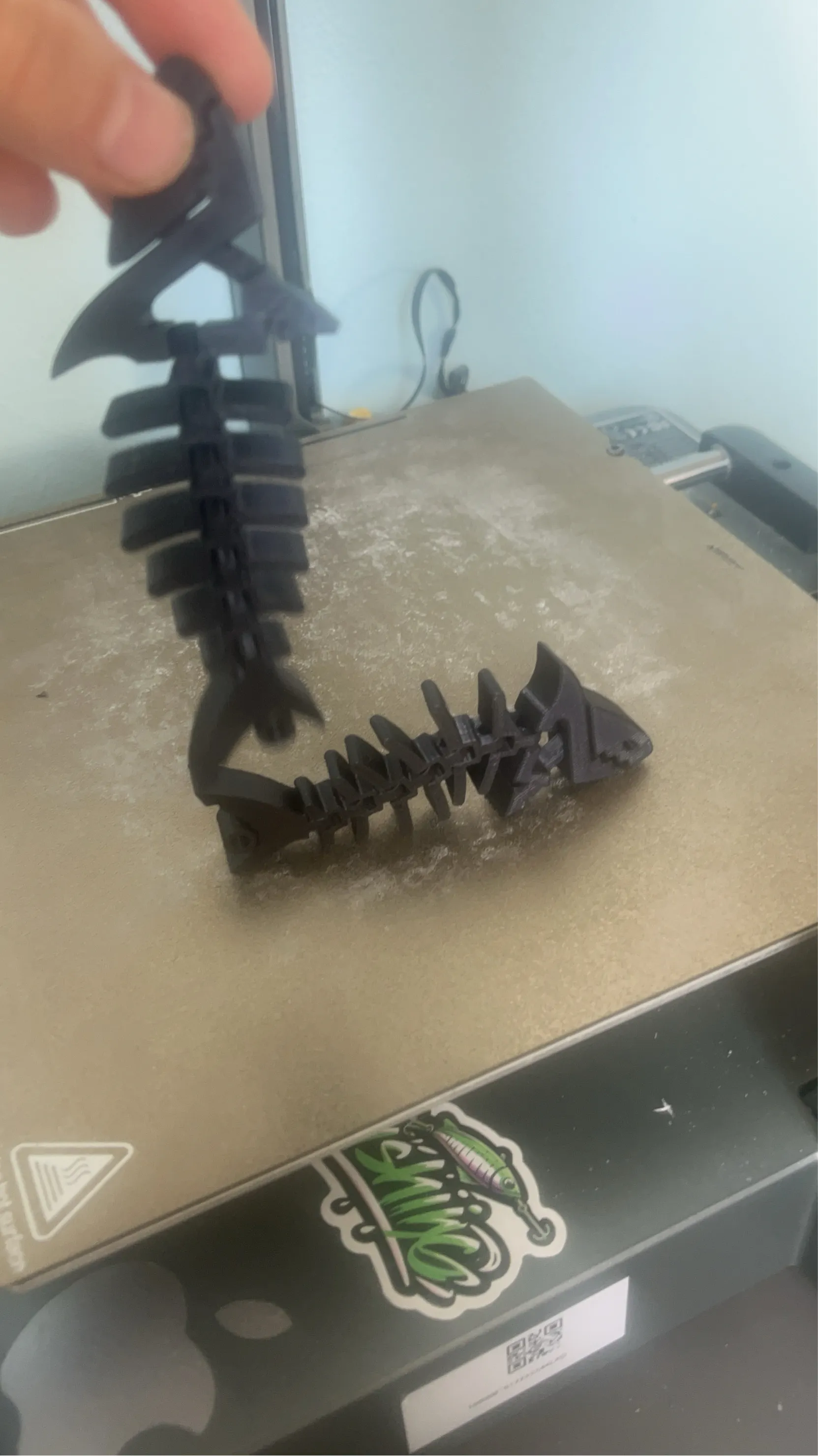 flexy shark -2