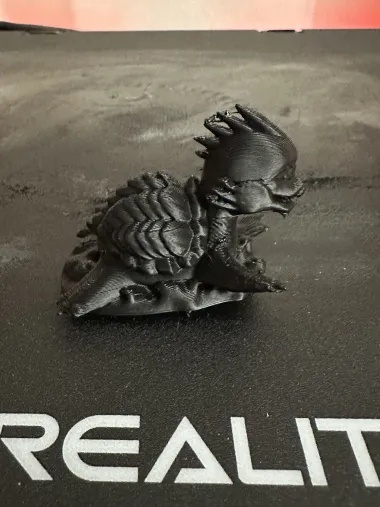 Dragon Turtle Baby-0