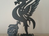 liver.bird-3
