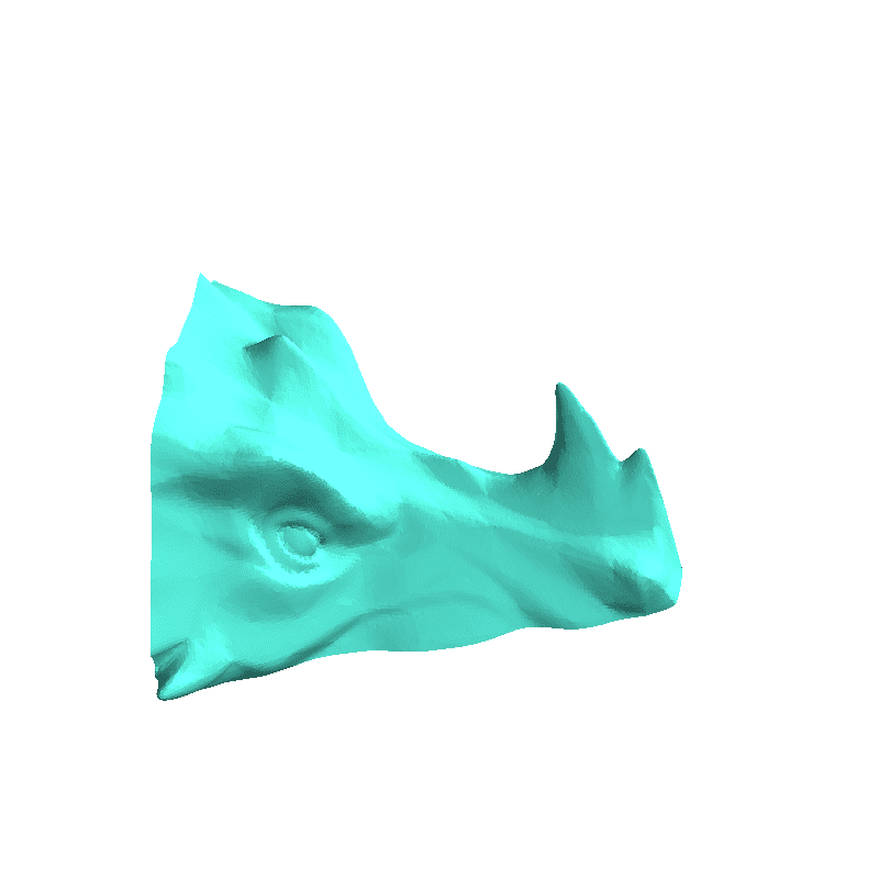 dragon_head