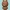 Brown from "Line friends"