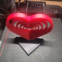 Concentric Heart-4