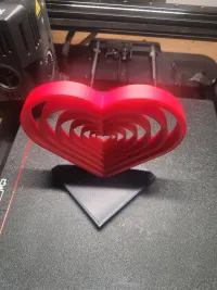Concentric Heart-4