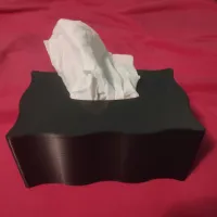 Vase mode tissue boxes-1