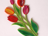 Flowers tulips-0