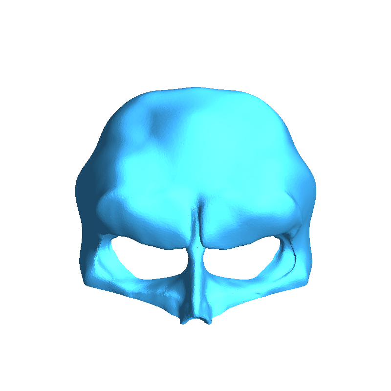 Skull Mask