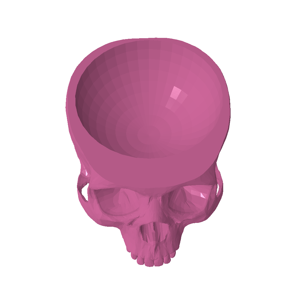 test skull
