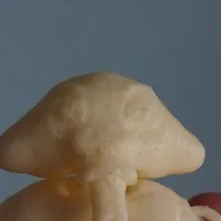 Articulated Obessy Eating Child Supportless Ver.-2