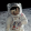 avatar of Orion5