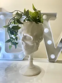 SCULL GOBLET - PRINT IN PLACE-2