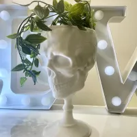 SCULL GOBLET - PRINT IN PLACE-2