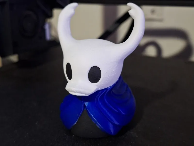 Hollow knight duck