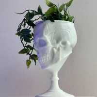SCULL GOBLET - PRINT IN PLACE-4
