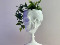 SCULL GOBLET - PRINT IN PLACE-4