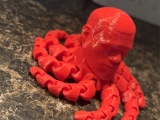 LeBron octopus-1