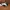 Super lustiger Gleiter mit Handstarter