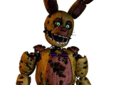 Springtrap shells
-0