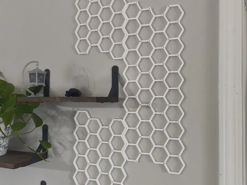 Indoor Wall Trellis