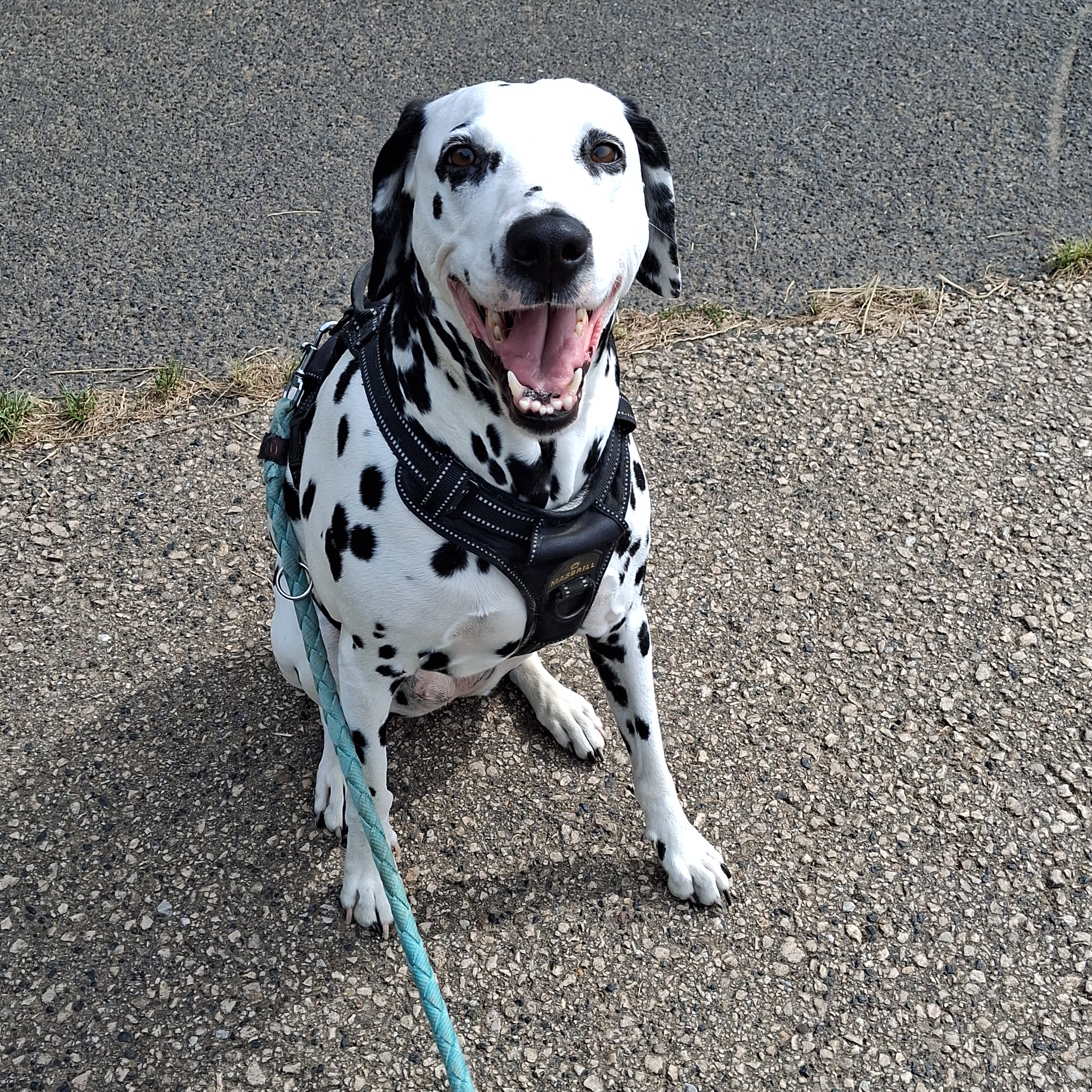 avatar of Wilfried Wieland