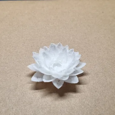Lotus Flower-1
