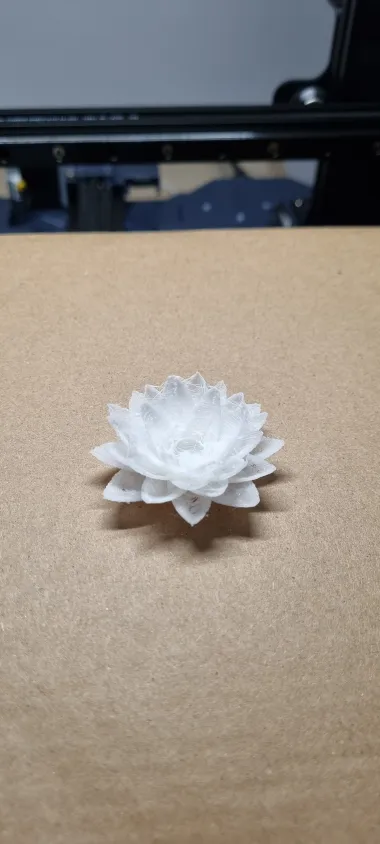 Lotus Flower-1