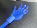 back scratcher -2