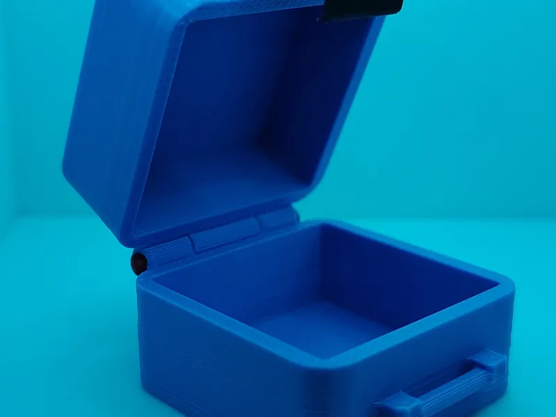 Small box with clasp (filament hinge)