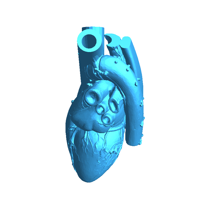 heart vase