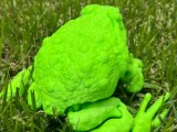 Frog-3
