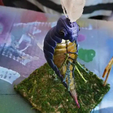 INSECTO BILLYWIG. HARRY POTTER-0