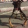 avatar of Swampscroat