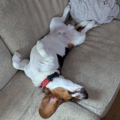 avatar of Jeeeeeeright