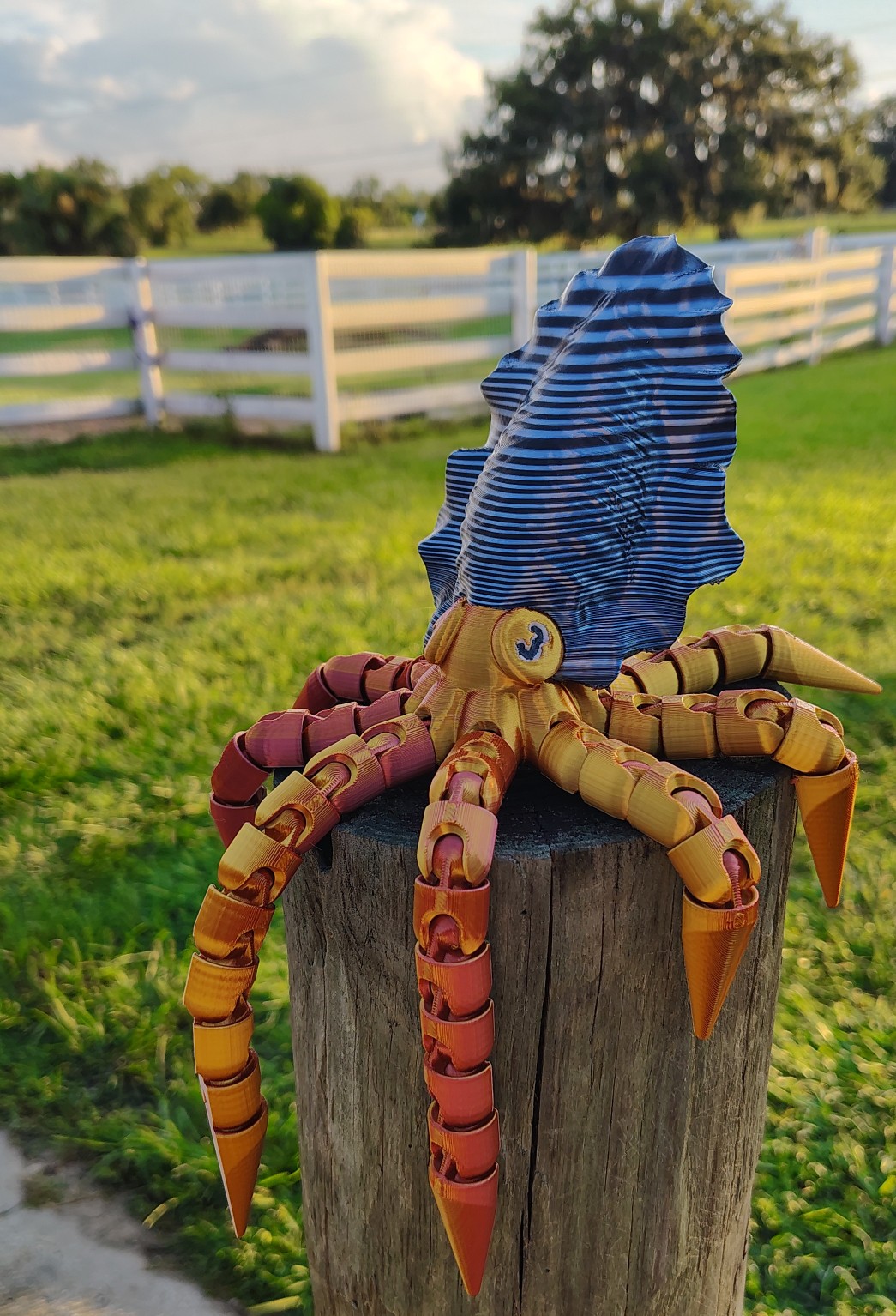 Articulated Flexi Cuttlefish by 3d central at cults3d . Purchase ...