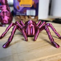 Tarantula Spider-0