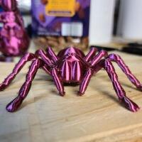 Tarantula Spider-0