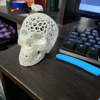 Voronoi-style Skull with no supports-1