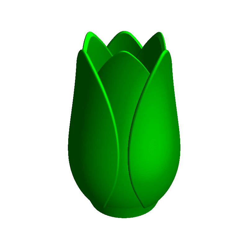 tulip vase