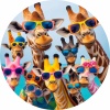 avatar of Donny_Lockart