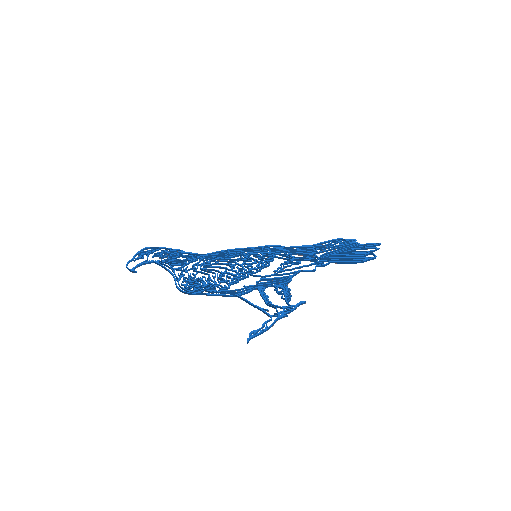 Digital Art STL Download - Australian Wedge Tail Eagleby Krystal3dp