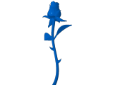 rose-0