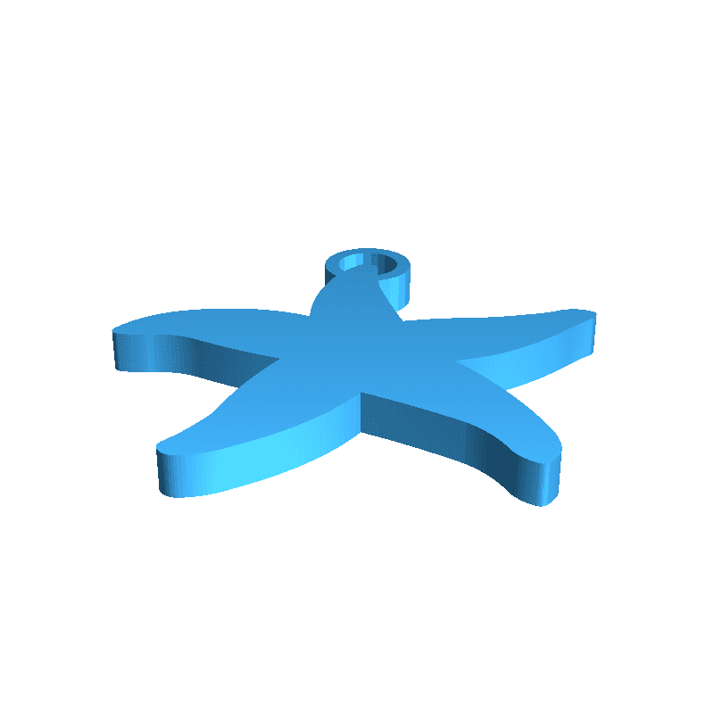 Starfish Key-Chain
