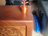 Kleiner Spross im Topf-3