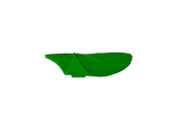 rose-2