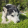 avatar of 5L1D3R-513