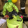 avatar of ksana