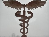 caduceus-2